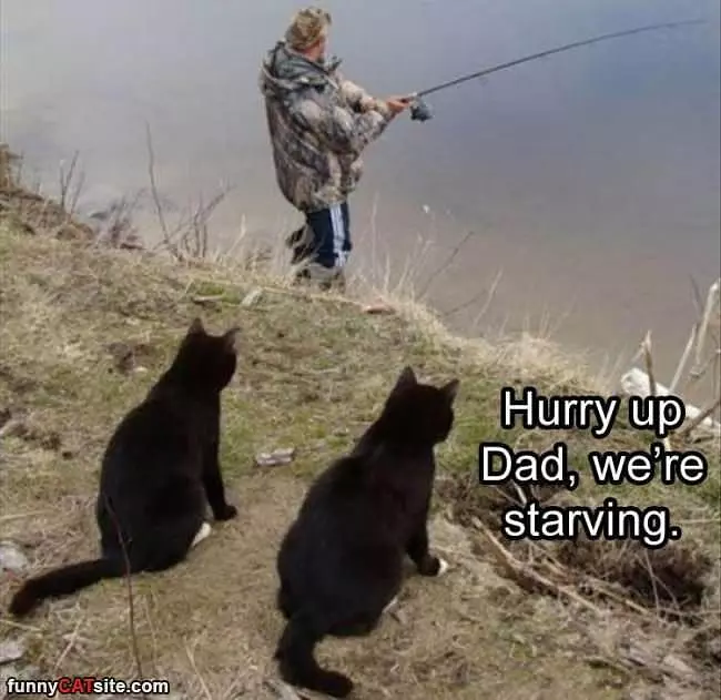 Hurry Dad