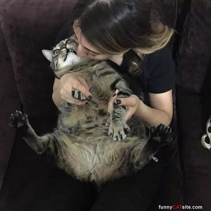Fuzz Ball