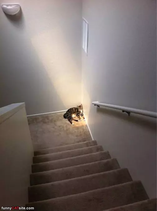 Found The Warm Spot