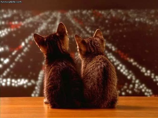 Big World Out There