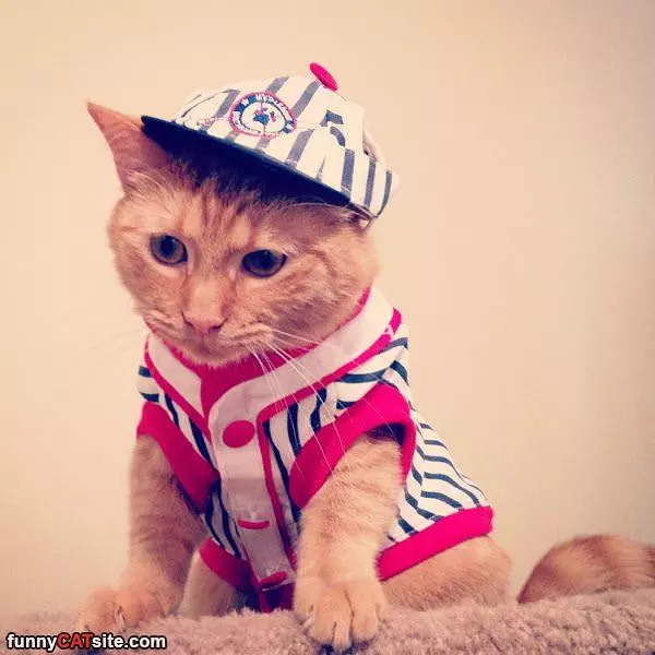All Dressed Up