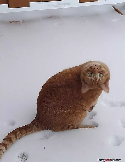 Watching You Close