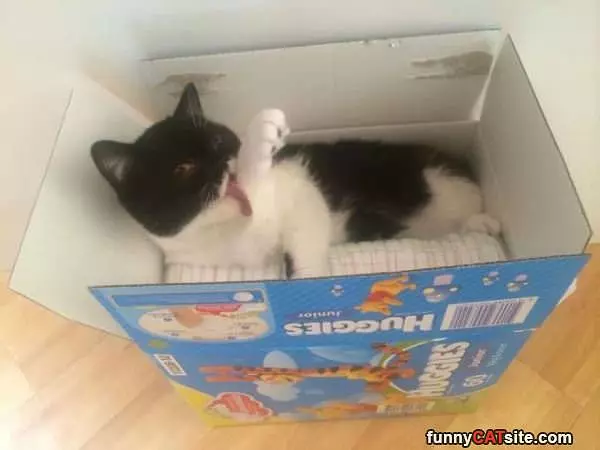 I Like These Huggies