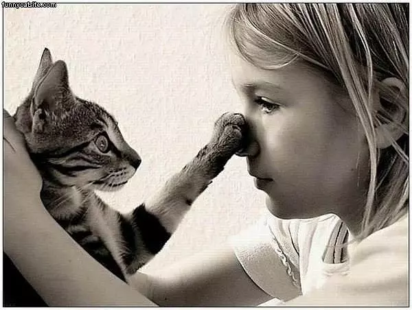 Got Your Nose