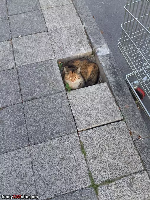 Found My Spot