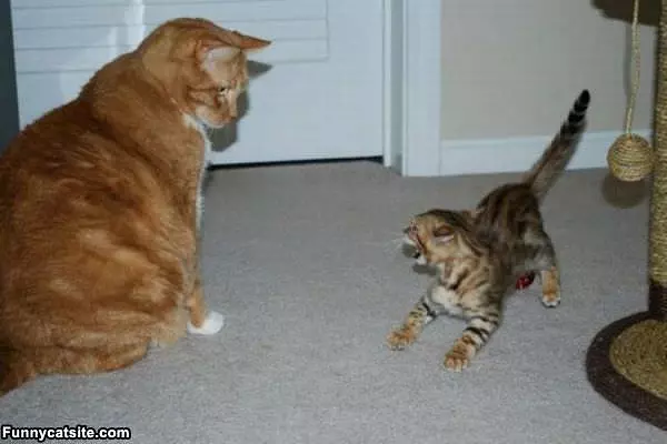 You Back Off