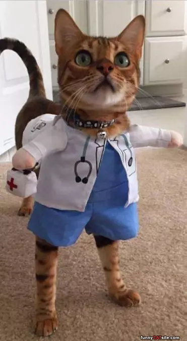 The Doctor Is In
