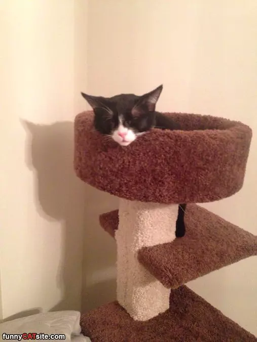 Asleep Like This