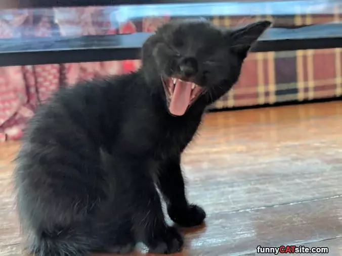 Aaaaaaaaaayeaaaaaaaaaaaa