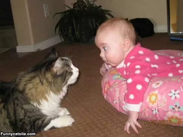 Whooo Are You