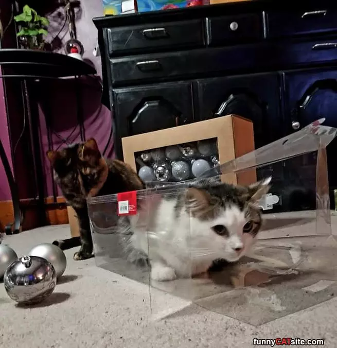 Playing With My Boxes