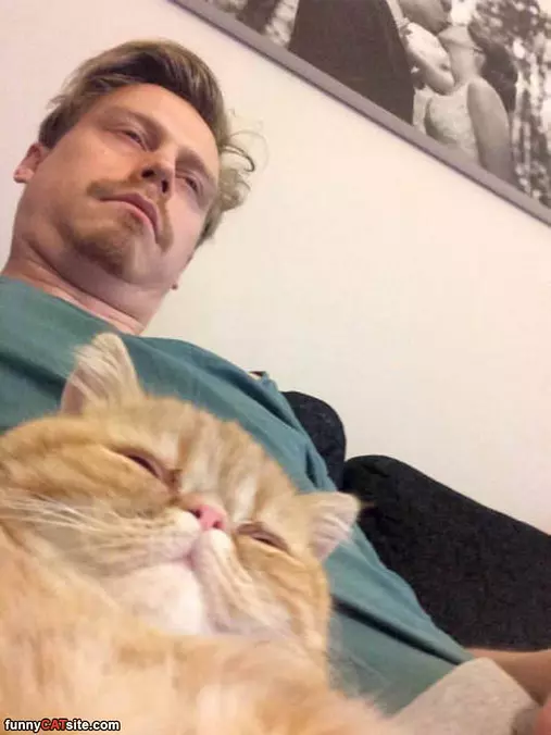 Same Faces