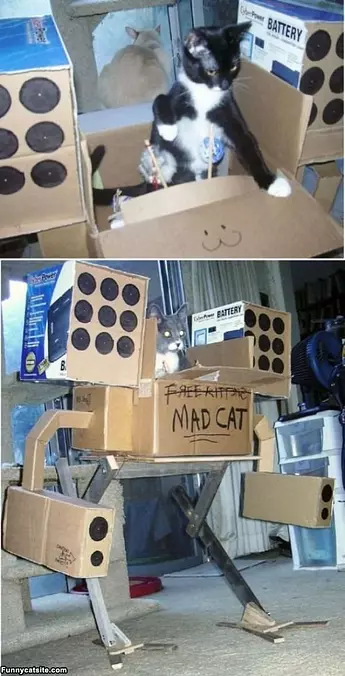 Do You Like My Box