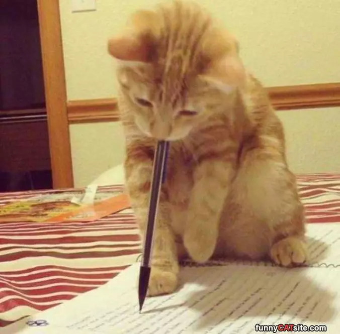 Doing Some Homework