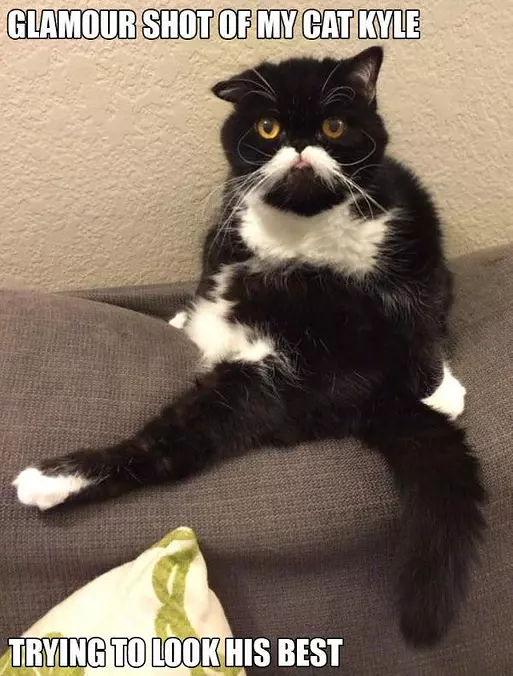 Glamour Shot