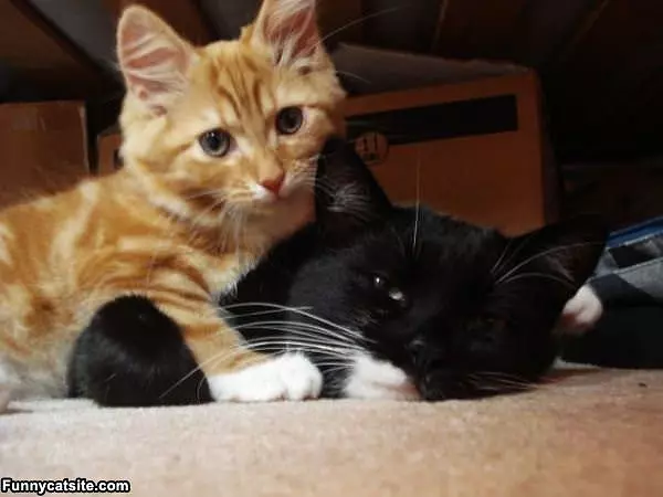 Posing Together