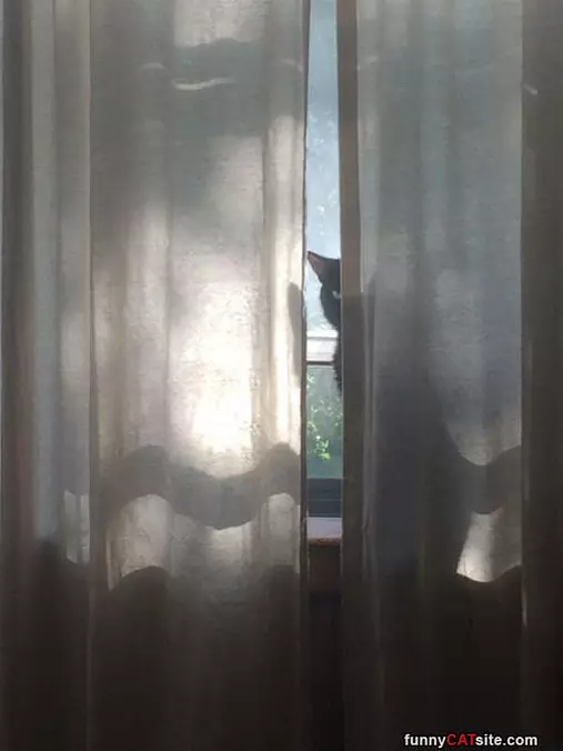 I Can See You