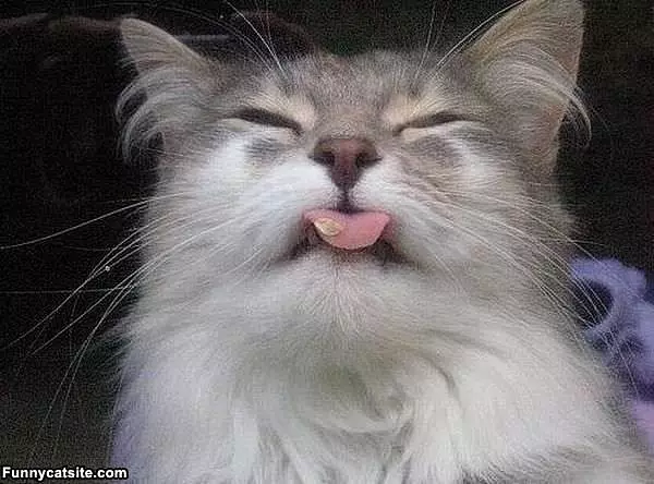 Lick