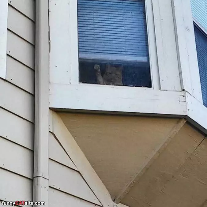 Hey You Get Off My Lawn