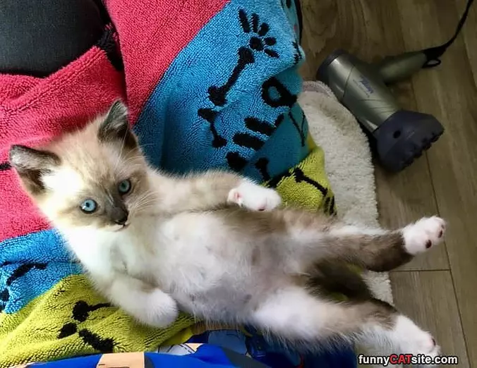 Well Hello There