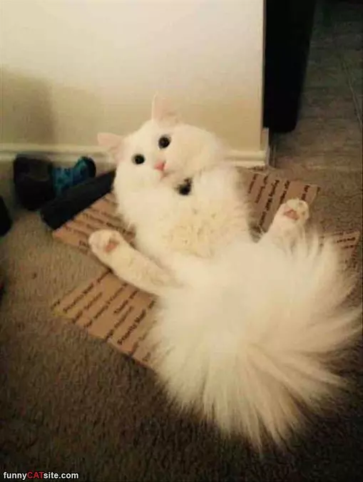 Super Fluff