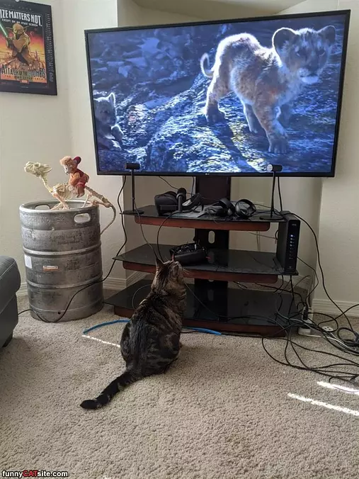 Watching My Stories