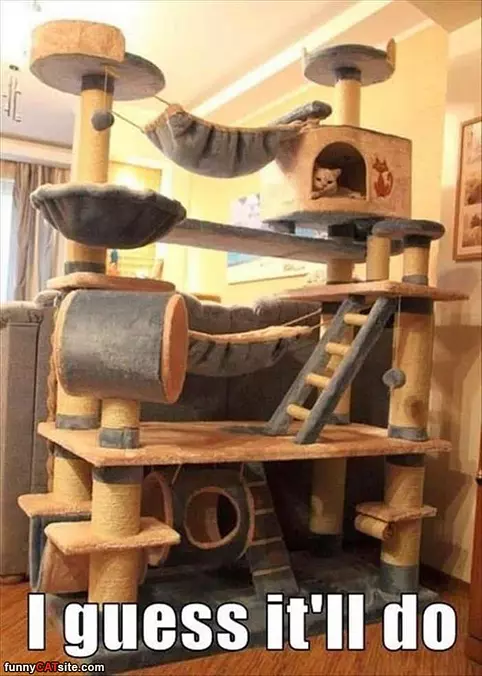 It Will Do