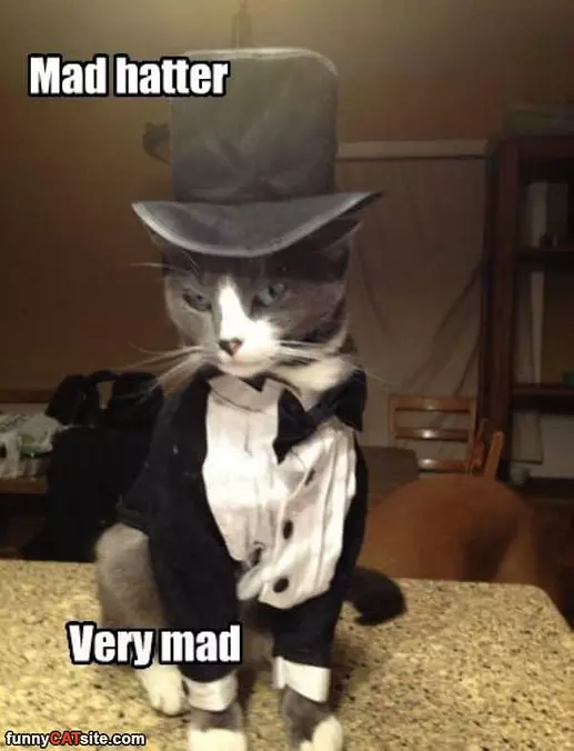 Mad Hatter