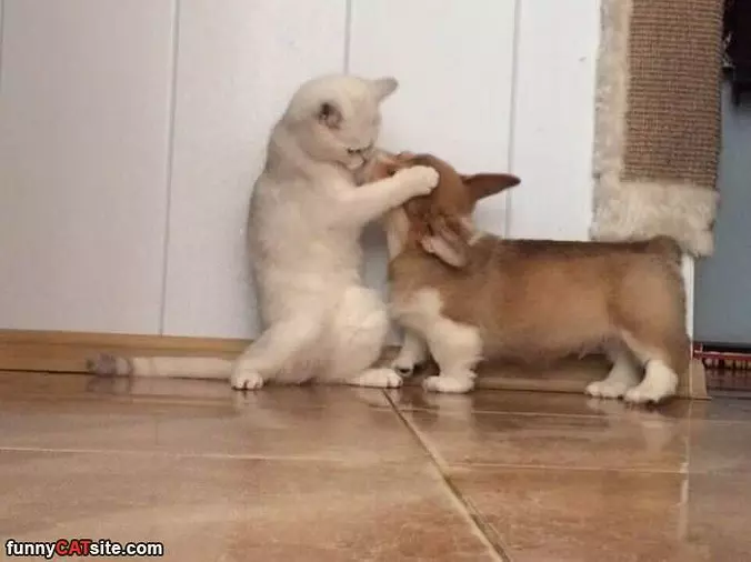 Give Me A Smootch