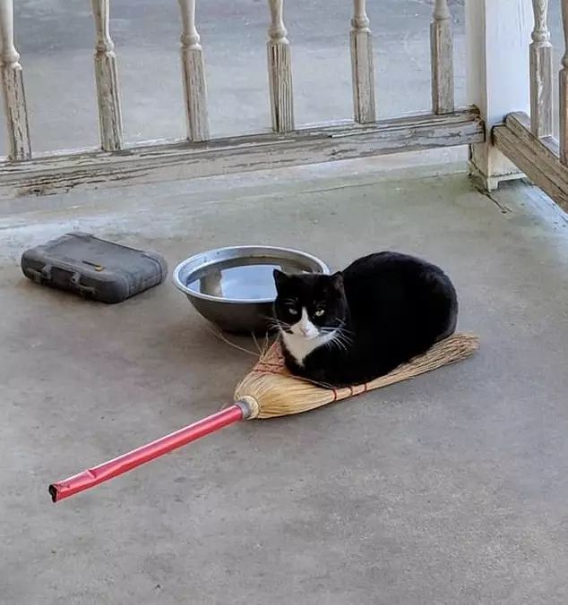 This Is My Bed Now