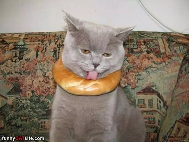 Licky Licky