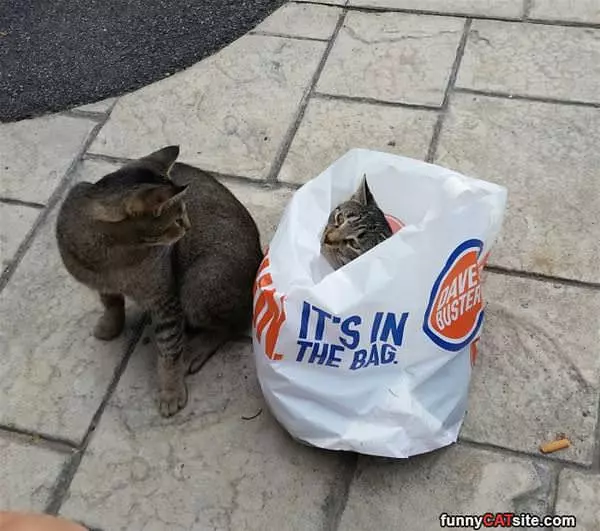 Found This Awesome Bag