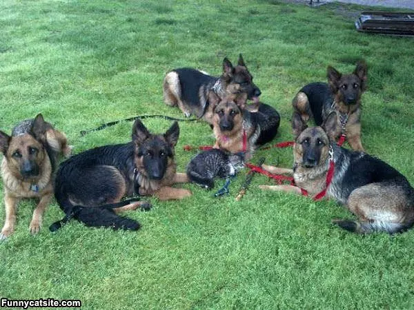 I Have My Body Guards