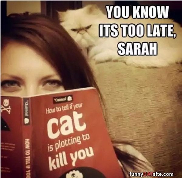Its Too Late