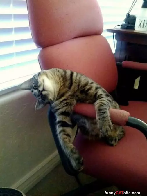 How I Sits