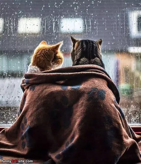 Rain Rain Go Away