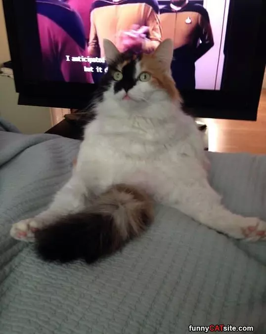 I Sit Really Funny