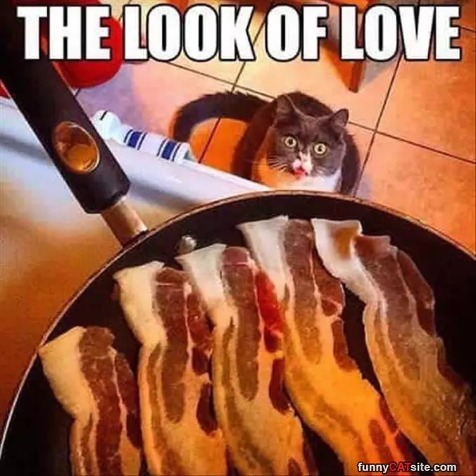 The Look Of Love