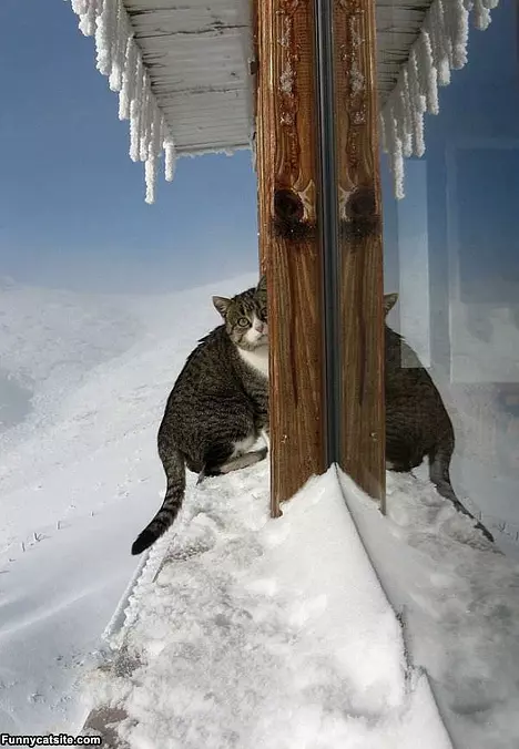 Its Cold Out