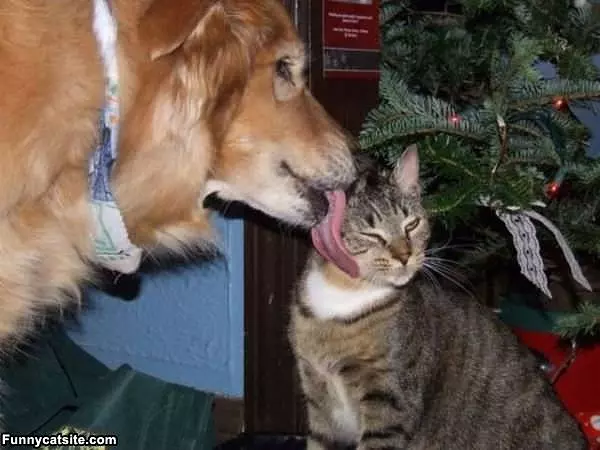 Let Me Clean That Off