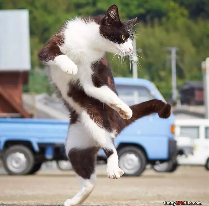 Super Dance