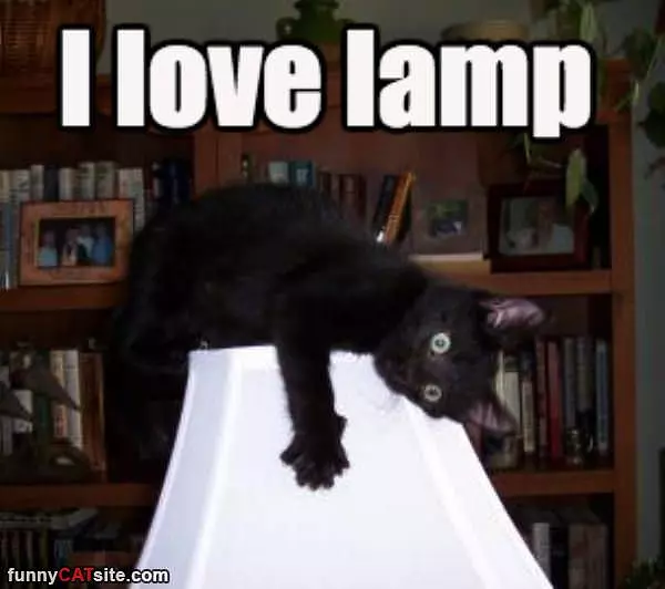 I Love Lamp