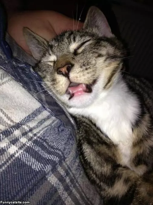 I Am Soooo Sleeepy