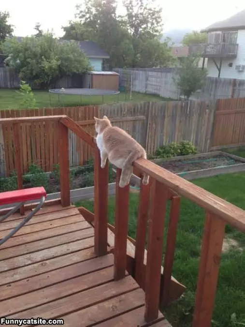 I Am Just Relaxing Today