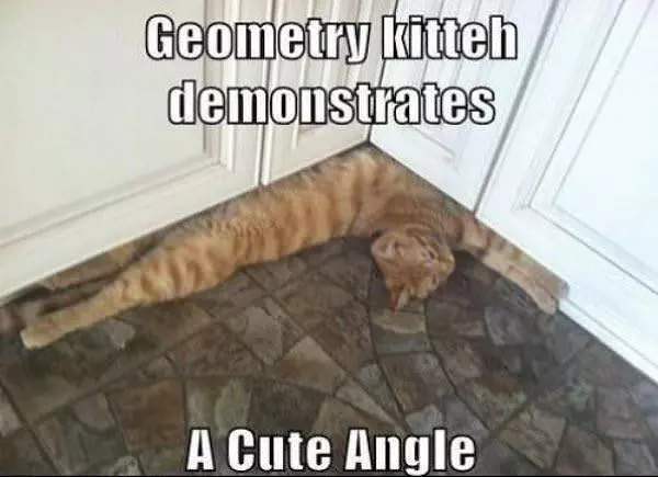 A Cute Angle