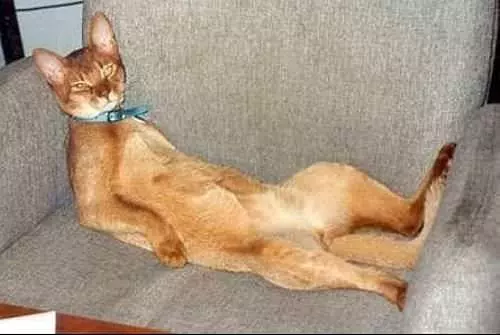 I Sit How I Want