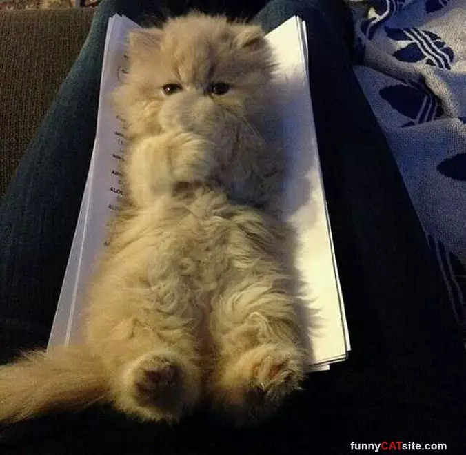 Curled Up Tight