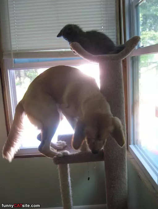 You Coming Up Here