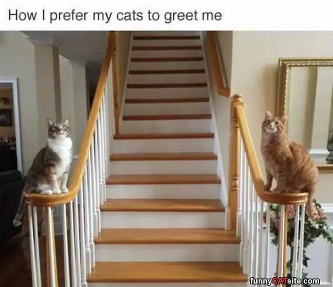 How I Prefer