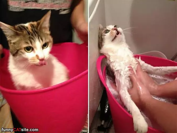 Getting A Little Bath